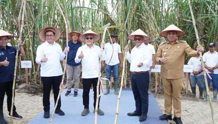 Menko Pangan dan Mendag Tinjau Panen Tebu Perdana, Pj Bupati Langkat Tegaskan Dukungan Swasembada Gula
