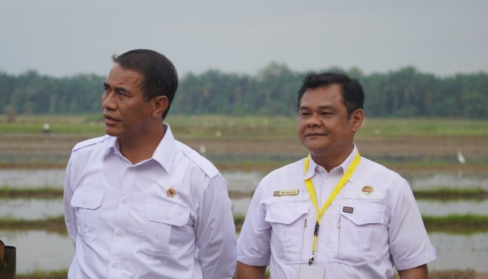 Kadis Peternakan dan Pertanian Langkat Tegaskan Pengelolaan Anggaran dan Bantuan Sesuai Prosedur