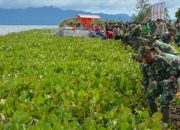 Prajurit Kodim 0210/TU Bersama Masyarakat Bersihkan Eceng Gondok di Kawasan Danau Toba