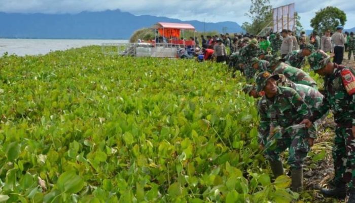 Prajurit Kodim 0210/TU Bersama Masyarakat Bersihkan Eceng Gondok di Kawasan Danau Toba