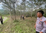 Polres Pakpak Bharat Cek Lokasi Penanaman Serentak 1 Juta Hektare Bibit Jagung untuk Dukung Ketahanan Pangan