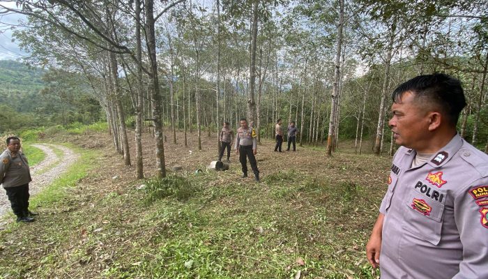 Polres Pakpak Bharat Cek Lokasi Penanaman Serentak 1 Juta Hektare Bibit Jagung untuk Dukung Ketahanan Pangan