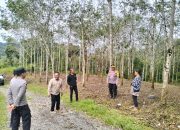 Polres Pakpak Bharat Kembali Cek Lokasi Penanaman Jagung Serentak, Berkomitmen Dukung Program Ketahanan Pangan