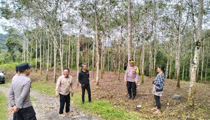 Polres Pakpak Bharat Kembali Cek Lokasi Penanaman Jagung Serentak, Berkomitmen Dukung Program Ketahanan Pangan