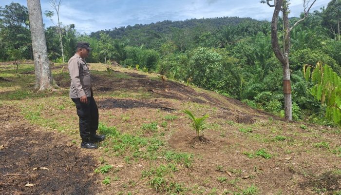 Polres Pakpak Bharat Siapkan Lahan untuk Tanam Serentak Bibit Jagung Sistem Tumpang Sari