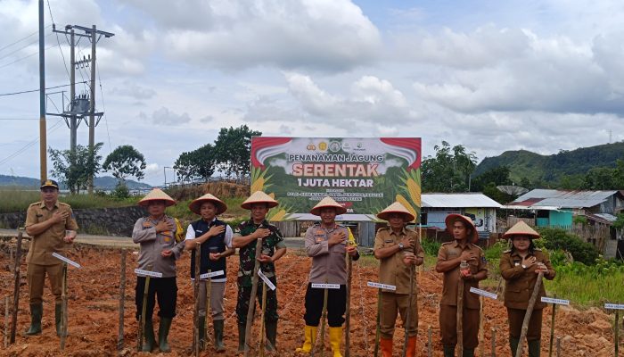 Polres Sibolga Dukung Swasembada Pangan, Tanam Jagung Serentak di Bukit Panomboman