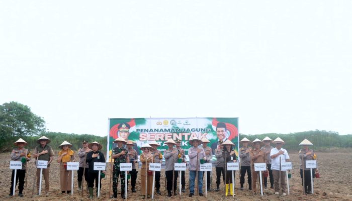 Pemkab Sergai Dukung Penuh Program Penanaman Jagung 1 Juta Hektar