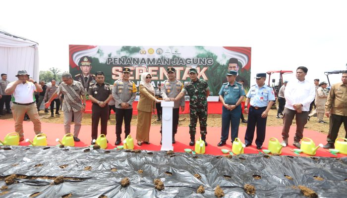 Penanaman 1 Juta Hektare Jagung, Polda Sumut Fokus Produksi 100 Ribu Ton