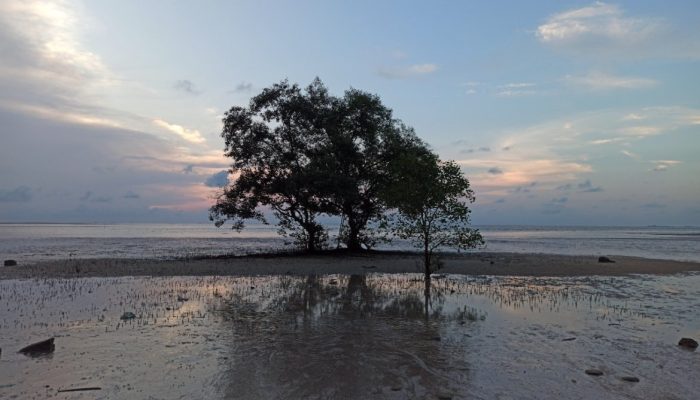 Pantai Tanjung Pendam, Pantai Indah dengan View Sunset Memukau di Belitung