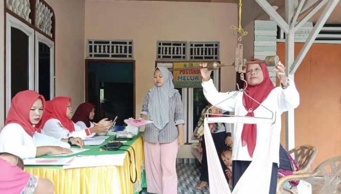 Ketidakadilan Tunjangan Kinerja PNS Puskesmas di Kabupaten Serdang Bedagai: Harapan PNS Kepada Presiden Prabowo