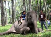 Tahu Kelen Keindahan Taman Wisata Alam Punti Kayu, Spot Replika Keajaiban Dunia