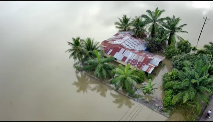 Hujan 3 Hari, Ribuan Rumah dan Ratusan Hektare Sawah Terdampak Banjir di Batu Bara