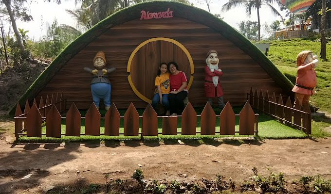 Alamanda Jogja Flower Garden, Destinasi Wisata Bunga Warna-Warni di Sleman