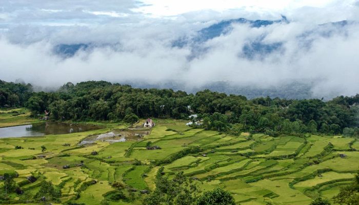 Batutumonga Tana Toraja, Surga di Atas Awan yang Menakjubkan!