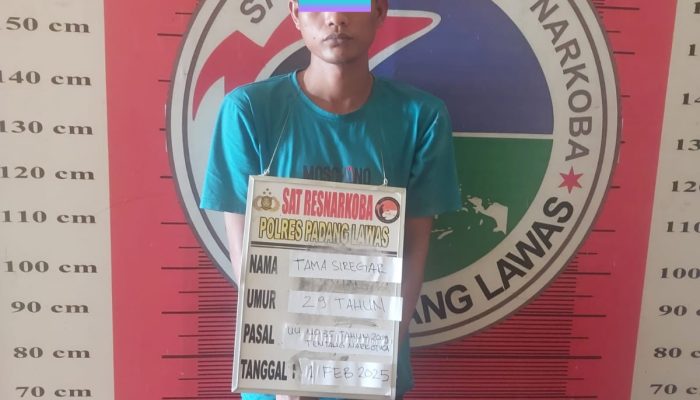 Nekad Jadi Bandar Sabu, Pria Pengangguran di Sosa Ditangkap Satresnarkoba Polres Palas