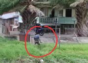 Duel Kakek Cucu Berujung Maut di Pinggir Sungai, Si Cucu Tewas dengan 10 Luka Tusukan, Gara-garanya Sepele