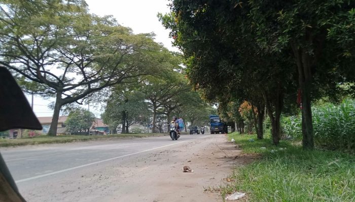 Citra Land Bangun Rumah Mewah di Tanah HGU PT PN 2, Alamak! Jalan Menuju Bandara Kualanamu Berdebu