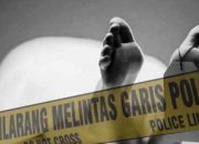 Astaga..! Mayat Janda Paruh Baya Setengah Terkubur Ditemukan di Kebun Sawit, Diduga Korban Pembunuhan