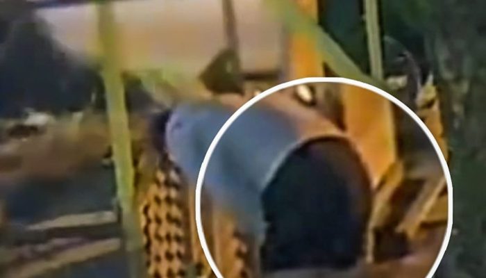 Pelajar di Batubara Melahirkan Berdiri di Warung, Lalu Buang Bayi di Tembok Rumah Warga, Diamankan Polisi Sama Pacarnya