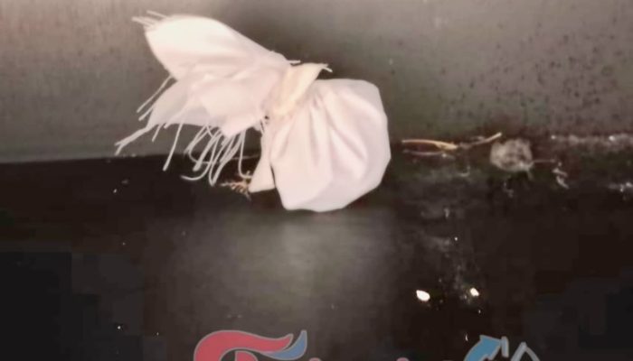 Keris dan Jimat di Kantor Wali Kota dan Rumah dinas Tanjungbalai Masih jadi Misteri.