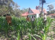 Polres Pakpak Bharat Komitmen Cek Perkembangan Lahan Ketahanan Pangan.