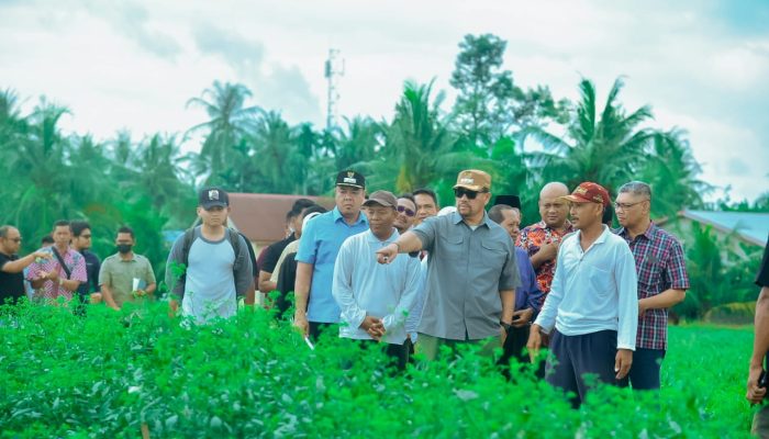 Sosialisasi dengan Poktan Lubuk Cuik, Bupati Batu Bara Ingin Petani Lebih Sejahtera