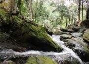 Lagi Libur Lebaran, Intip dan Kunjungi 5 Tempat Wisata di Labuhanbatu