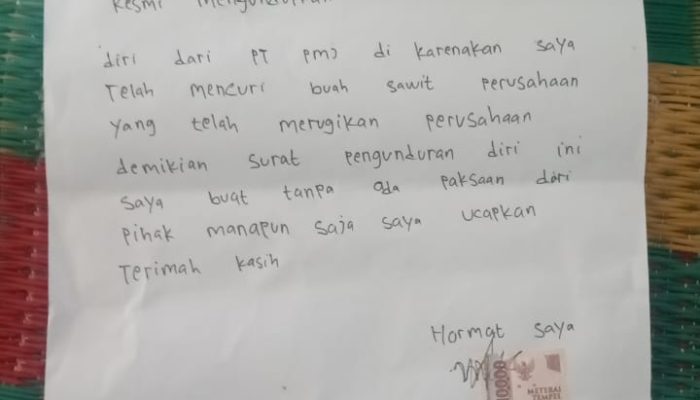 Gara-Gara Dua Janjang TBS Peninggalan “Ninja”, Asisten PT PMJ Pecat Ayah dan Anak