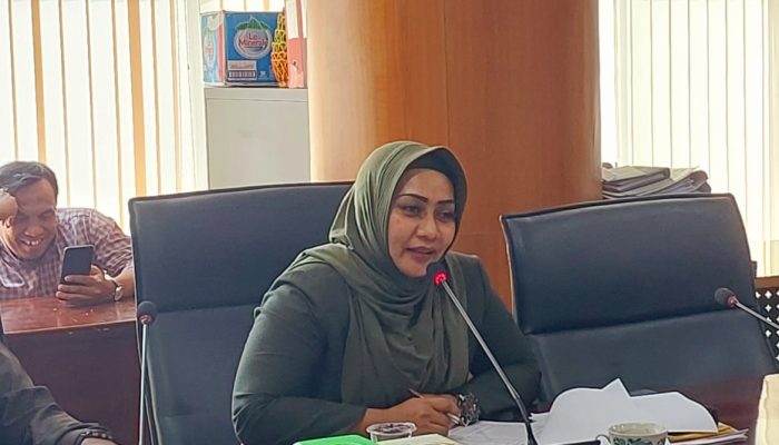 Anggota DPRD Medan Soroti Kinerja Amburadul Dinas PKPCKTR: Banyak Program Diduga Copy Paste