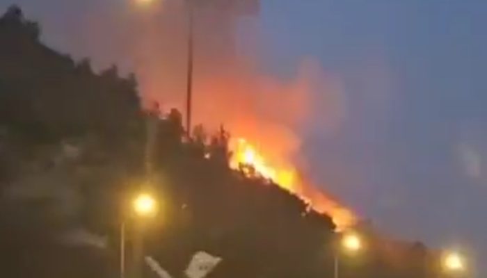 Kebakaran Hutan Dahsyat Landa Israel Tengah, Ribuan Penduduk Dievakuasi