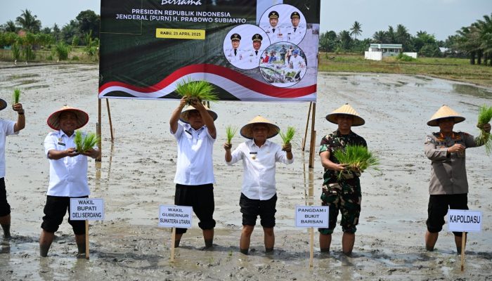 Sumut Tanam Serentak 1.897 Hektare Padi, Dukung Swasembada Pangan Nasional