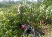 Sepeda Motor “Tidak Bertuan” Ditemukan Warga Di Semak-semak Kebun Kelapa Sawit