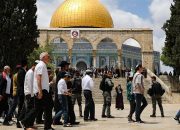 358 Pemukim dan Aktivis Yahudi Serbu Masjid Al-Aqsa di Bawah Perlindungan Polisi Israel