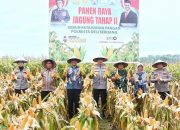 Polresta Deli Serdang Panen Raya Jagung, Dukung Swasembada Pangan 2025