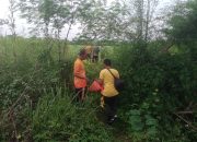 Mayat Tinggal Kerangka Ditemukan di Pinggir Jalan Batang Kuis