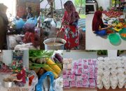 Dinas Kesehatan Serdang Bedagai Klarifikasi Isu Korupsi PMT, Program Sesuai Aturan