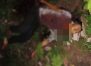 Pria Lajang Ditemukan Tewas di Kebun Rispa Tanjung Morawa dengan Leher Digorok