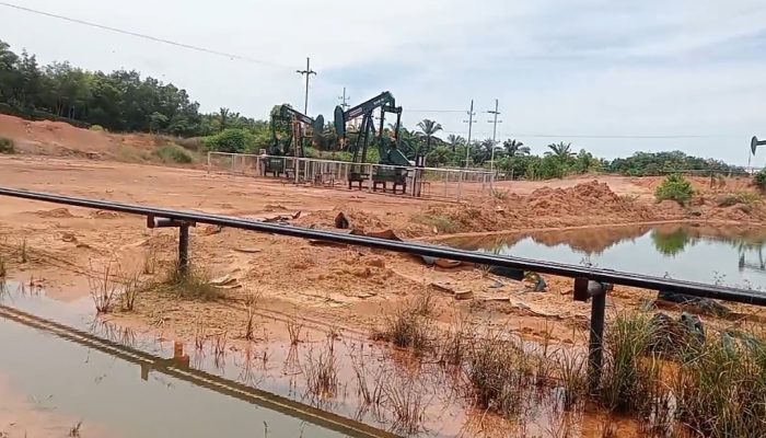 Subkontraktor PT PHR Diduga Langgar SOP, Warga Bangko Bakti Rohil Terdampak Banjir dan Gagal Panen
