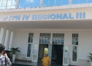 Tiga Nama Rekanan Menguasai Proyek PTPN IV Regional III?