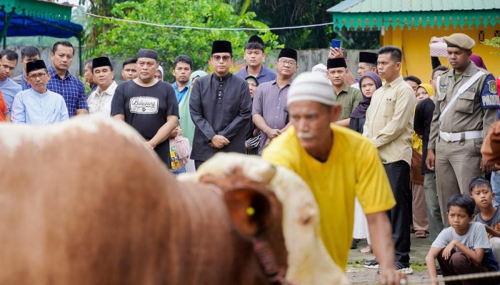 Rico Waas Saksikan Penyembelihan Sapi Kurban Presiden Prabowo di Masjid Raya Al Osmani