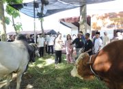 Polda Sumut Salurkan Ribuan Paket Daging Kurban Iduladha 1446 H