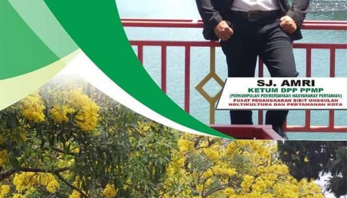 PPMP Sediakan Puluhan Ribu Bibit Tabe Buya: Warna-Warni untuk Penghijauan Kota