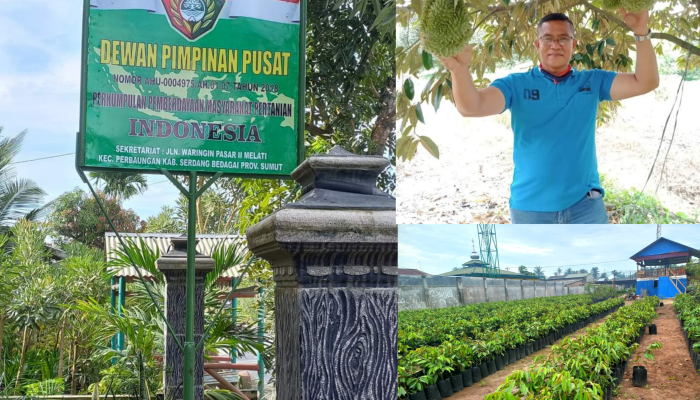 DPP PPMP Dorong Pemberdayaan Masyarakat Melalui Budidaya Hortikultura dan Tanaman Pelindung