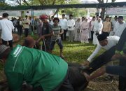 Pemkab Asahan Sembelih 111 Hewan Kurban