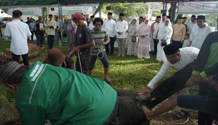 Pemkab Asahan Sembelih 111 Hewan Kurban