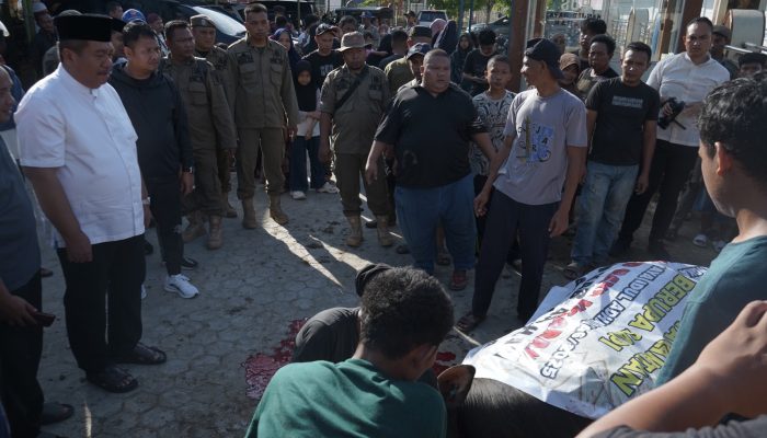 Bupati Asahan Serahkan Sapi Kurban Presiden Ke Masjid Raya Kisaran