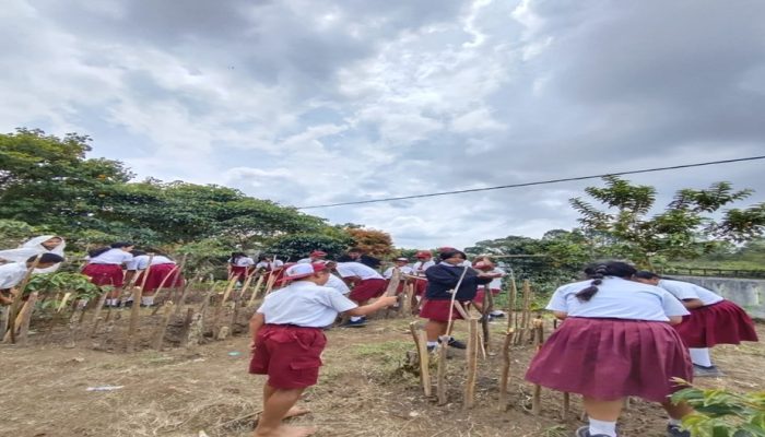 Menanam Kepedulian, Menumbuhkan Karakter: Literasi Lingkungan di SDN Hutabaris