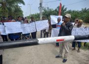 Kelompok 80 Minta Presiden Tutup PT DMK, Diduga Ubah Kawasan Hutan Jadi Kebun Sawit