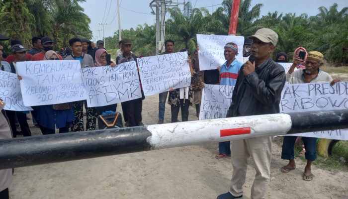 Kelompok 80 Minta Presiden Tutup PT DMK, Diduga Ubah Kawasan Hutan Jadi Kebun Sawit