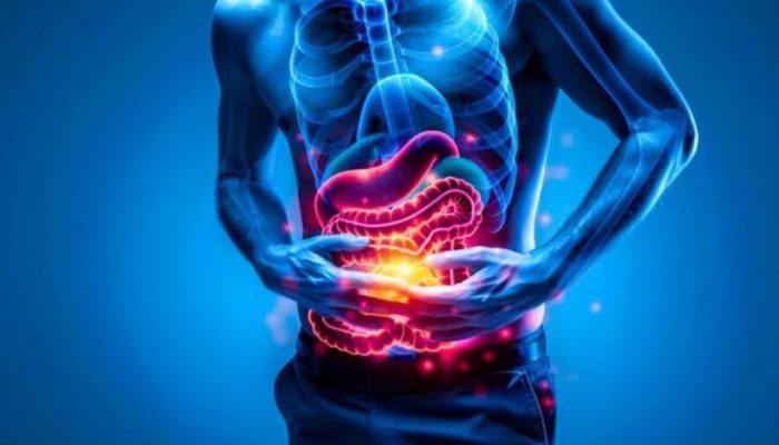 ‎Prophetic Medicine: Rahasia Menjaga Kesehatan Lambung dan Usus Sesuai Sunnah Nabi  ‎
